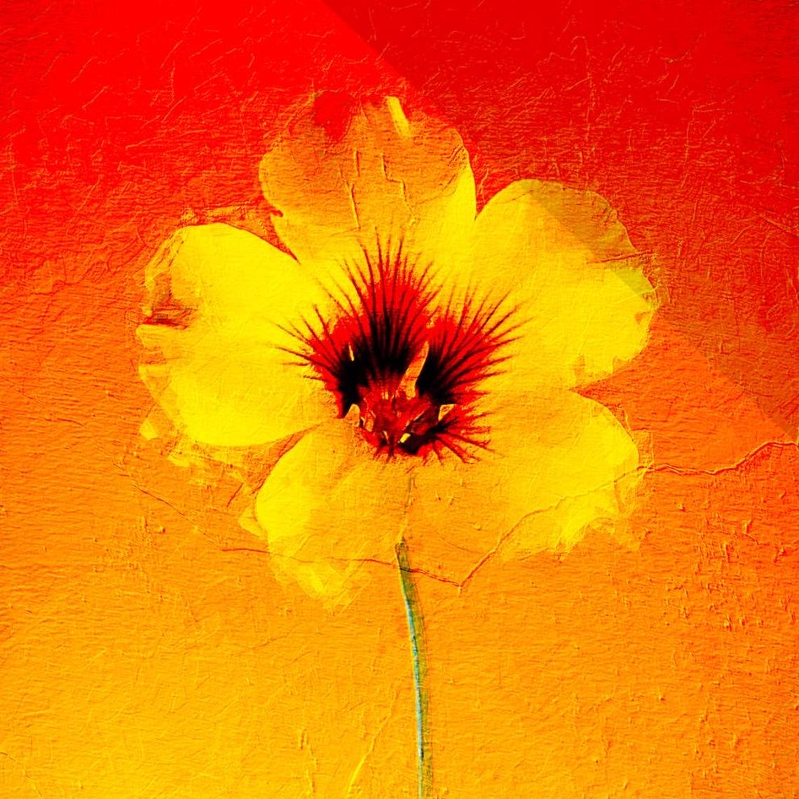 Vibrant Yellow Flower Red Orange Gradient Boho Minimalist Art Print - Image 3