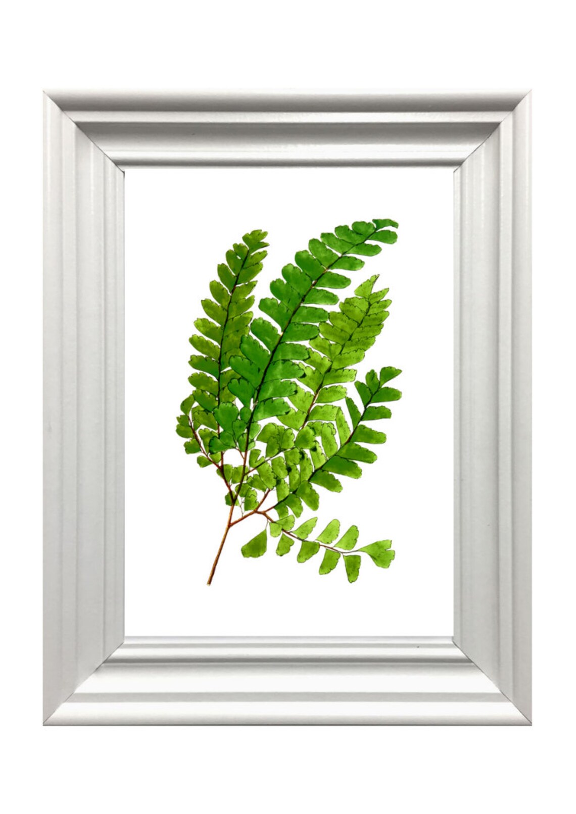 Green Fern Fronds Watercolor Painting Fresh Greenery Plant Wall Art - Image 3