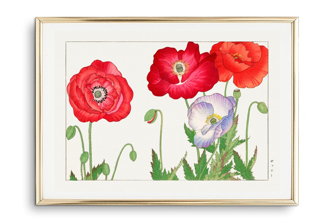 Vintage Japanese Poppy Flower Botanical Illustration Wall Art Poster