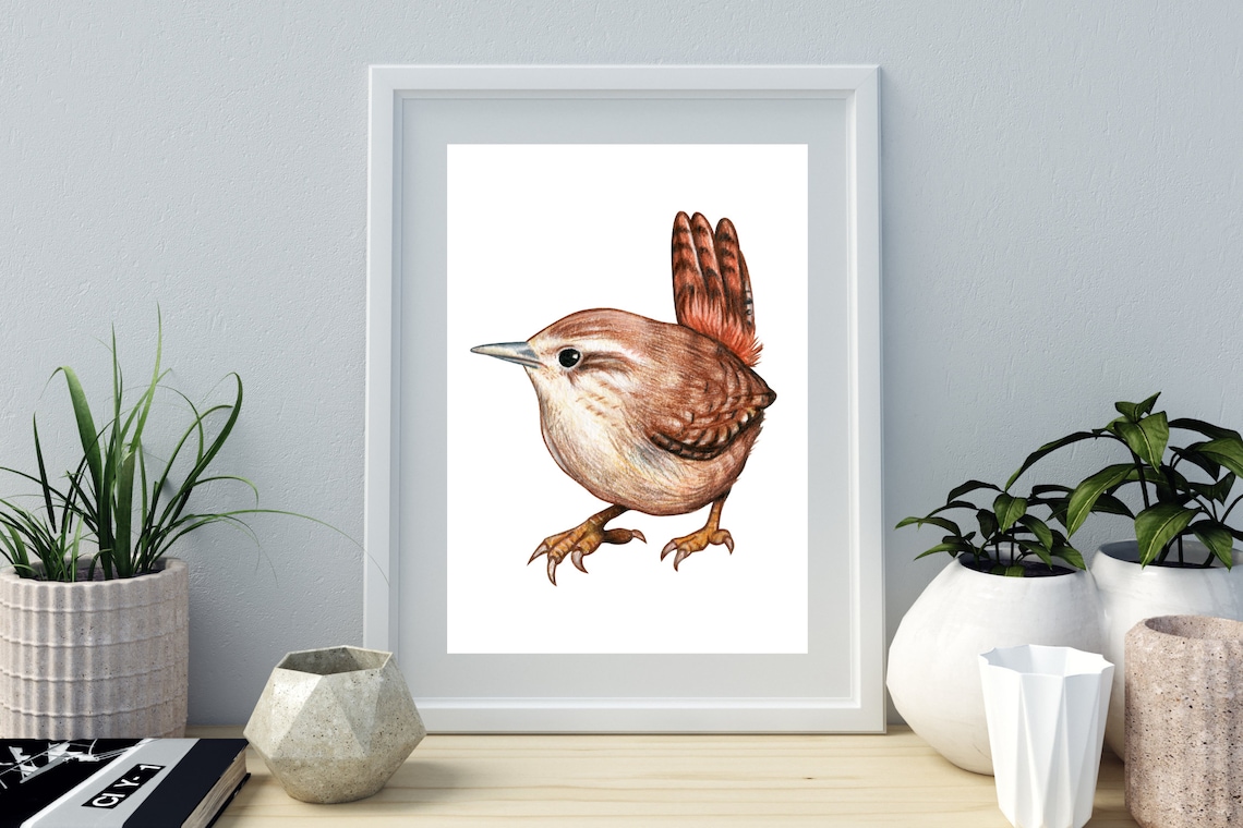 Cute Wren Bird Watercolor Illustration Rustic Wildlife Wall Art