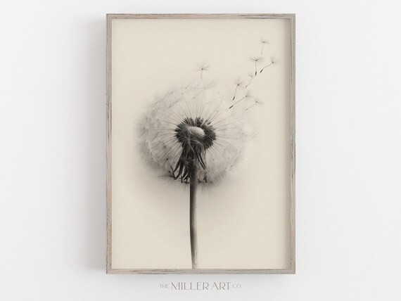 Dandelion Art Flower Illustration Fineline Artwork Minimalist Scandi Home Decor