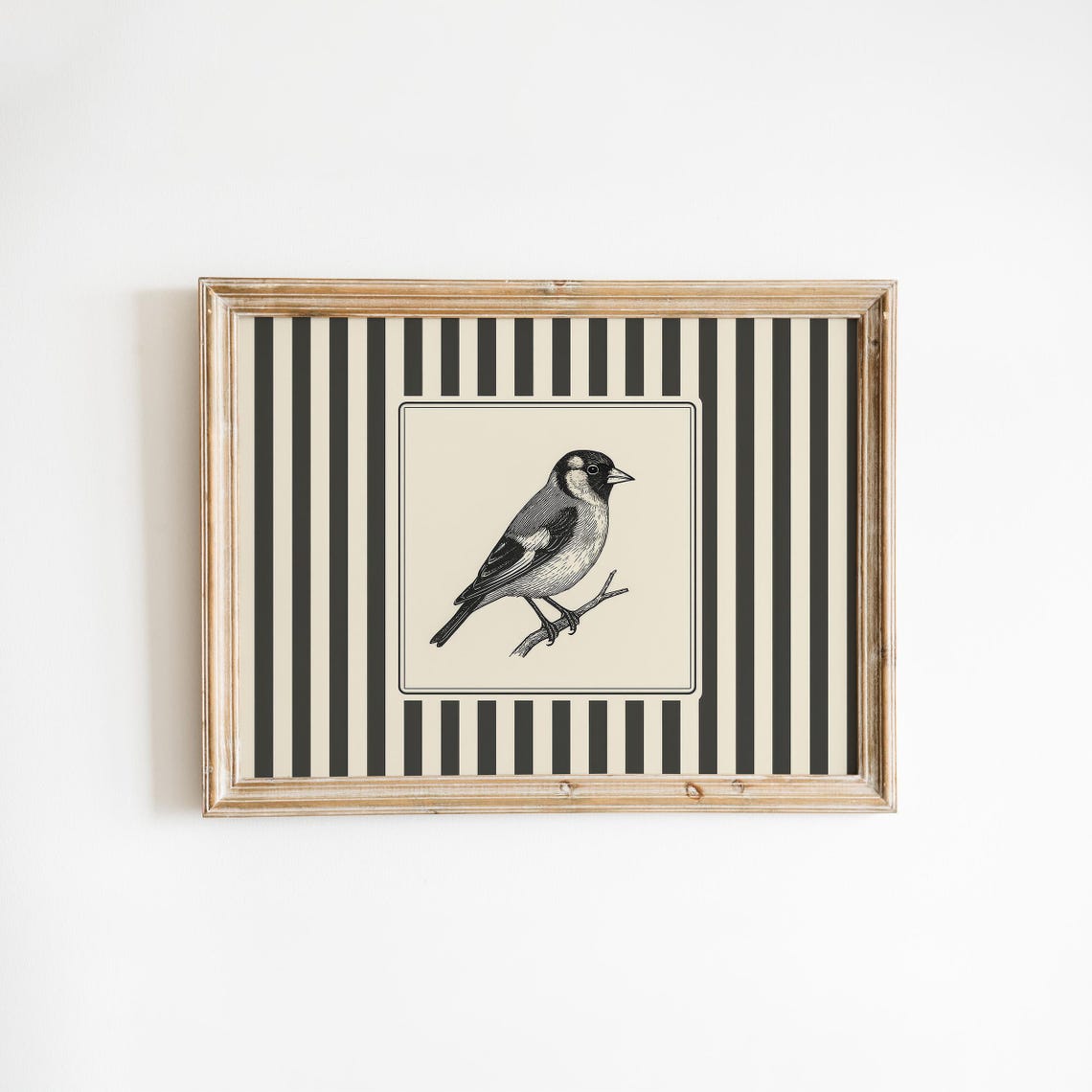 Finch Bird Vintage Poster Black And White Engraving With Stripes