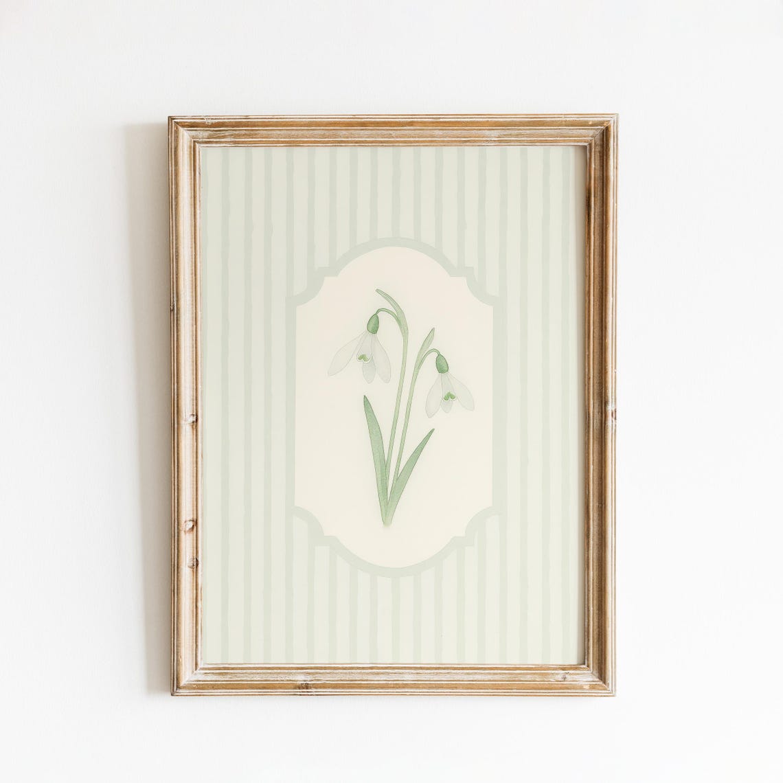Snowdrop Flower White Green Blooms Sage Stripe Botanical Wall Art