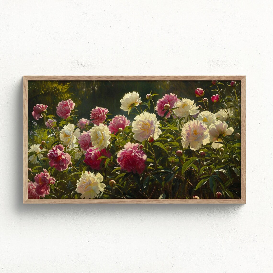 Lush Pink and White Peony Garden Sunlit Blooms Floral Art Poster