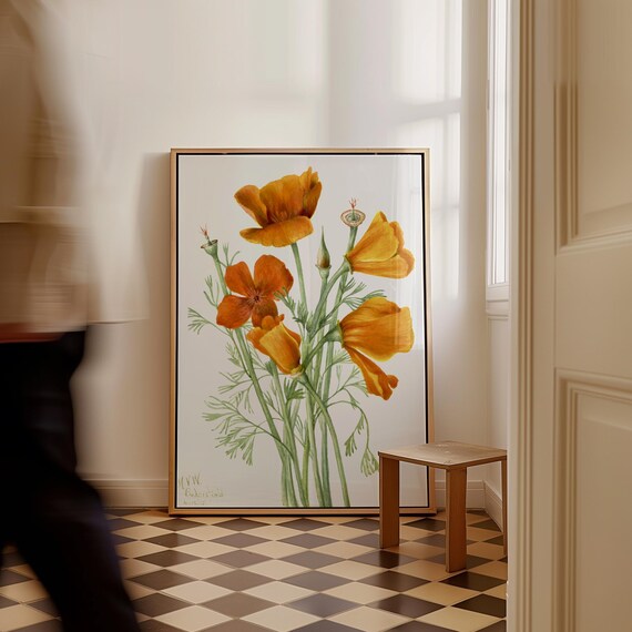 Mary Vaux Walcott California Poppies Orange Botanical Poster