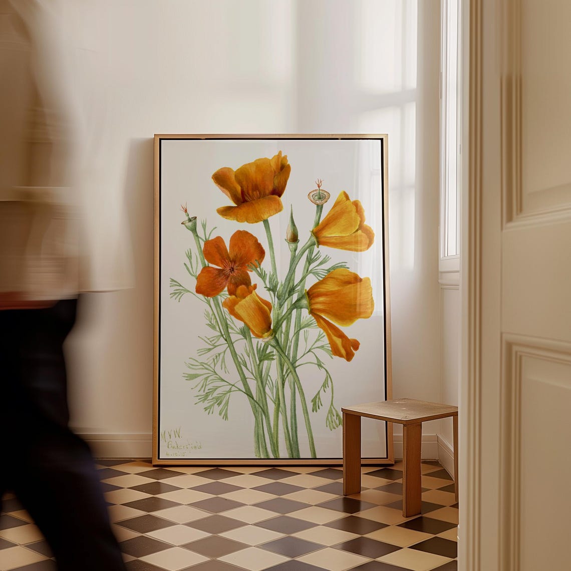 Mary Vaux Walcott California Poppies Orange Botanical Poster