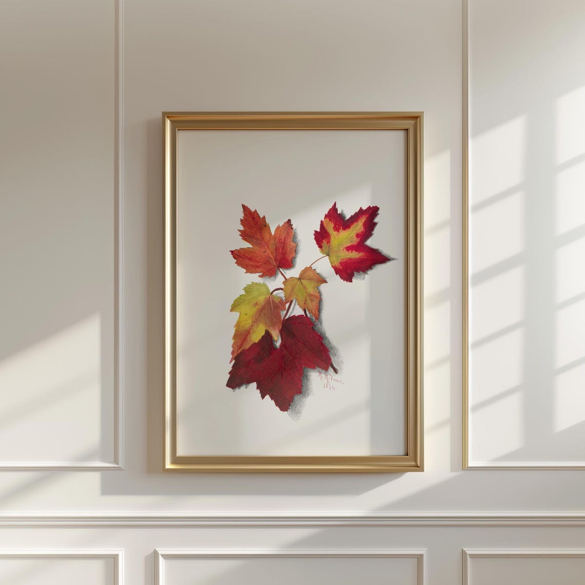 Mary Vaux Walcott Autumn Leaves Print Vintage Botanical Art