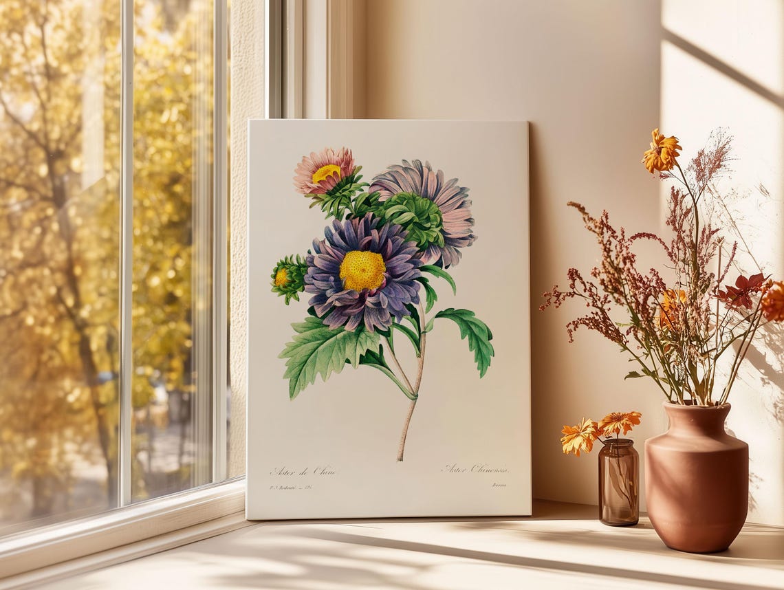 China Aster Vintage Botanical Illustration Purple Bloom Art Poster