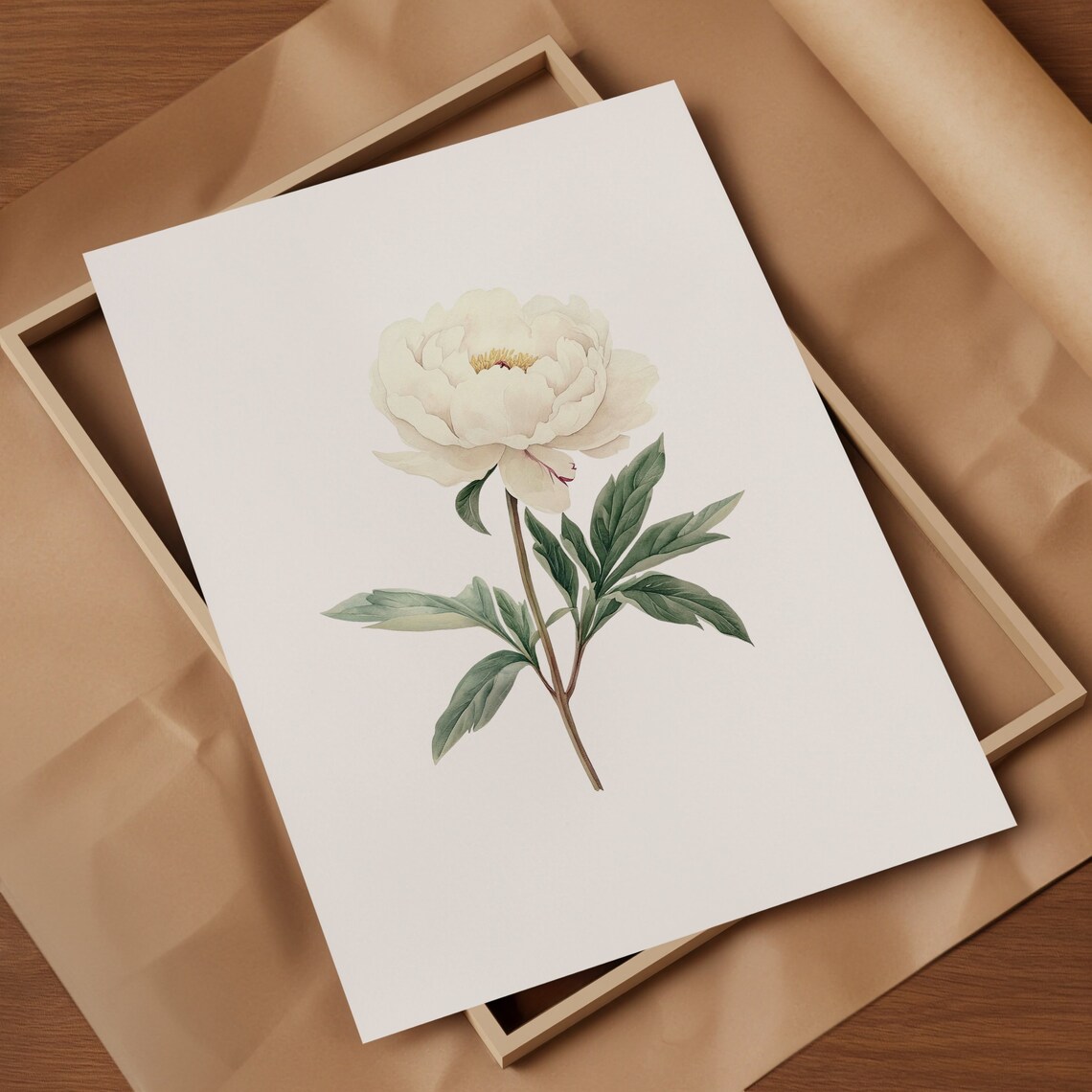 White Peony Watercolor Botanical Minimalist Flower Art Poster