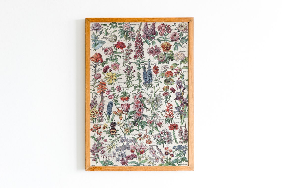Adolphe Millot 1909 Flowers Botanical Chart Vintage French Wall Poster - Image 2