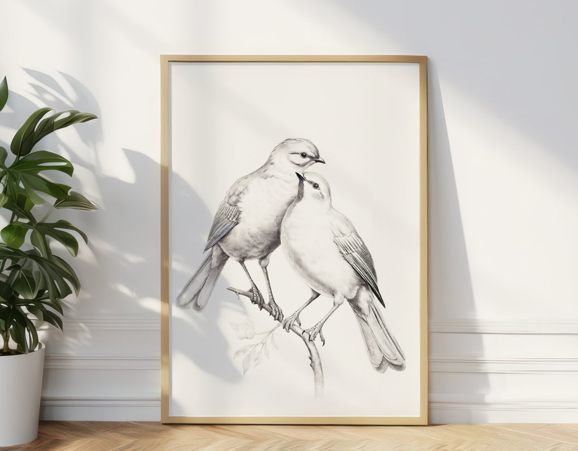 Two White Songbirds Black and White Pencil Sketch Art Poster - Image 2