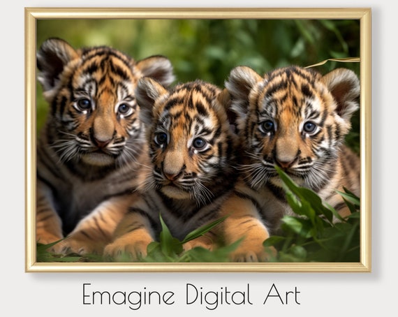 Art Baby Tiger Cubs In Grass Wildlife Photo Tigers Natural Habitat Instantly Print And Frame Wl06