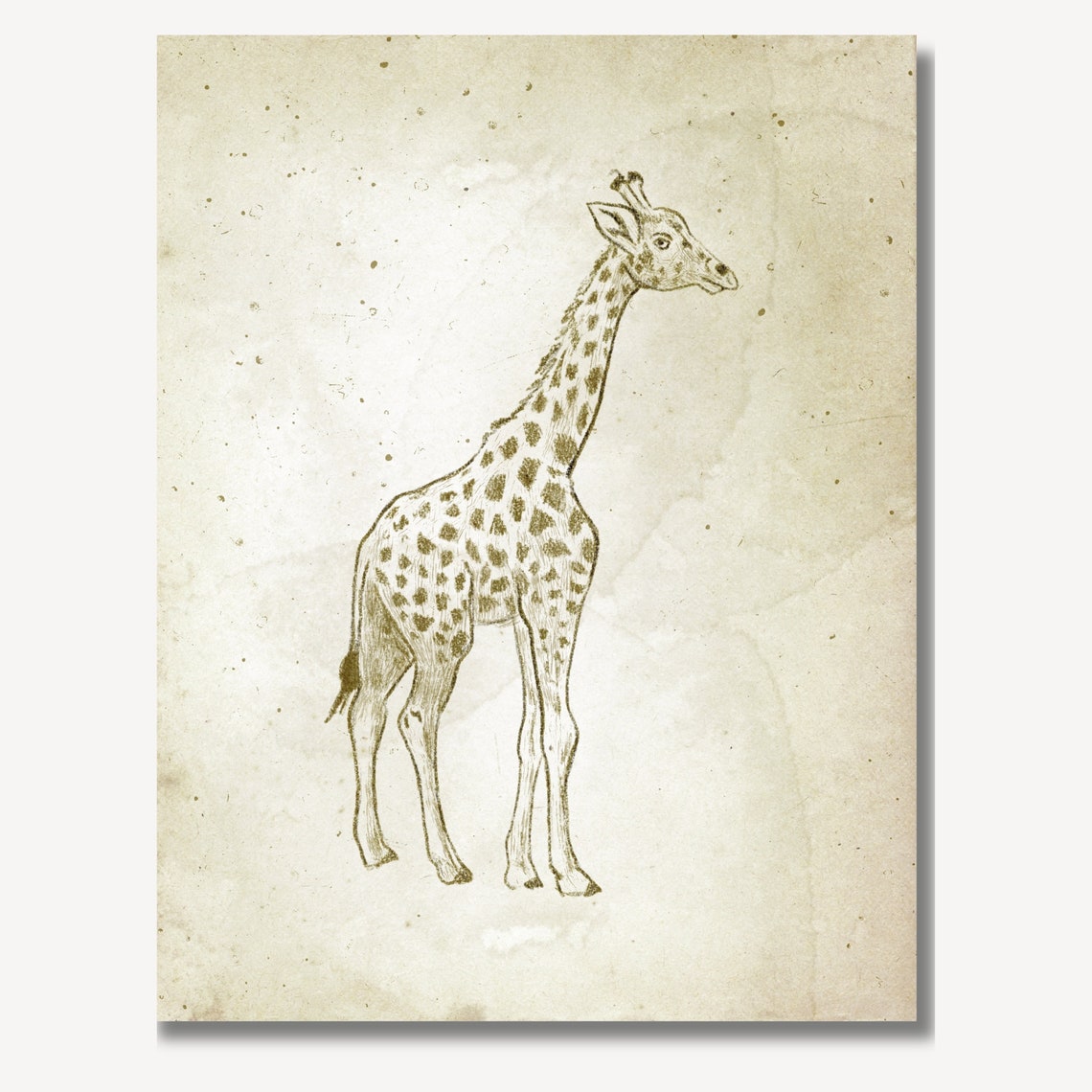 Vintage Giraffe Standing Sketch Antique Nursery Decor Poster - Image 3