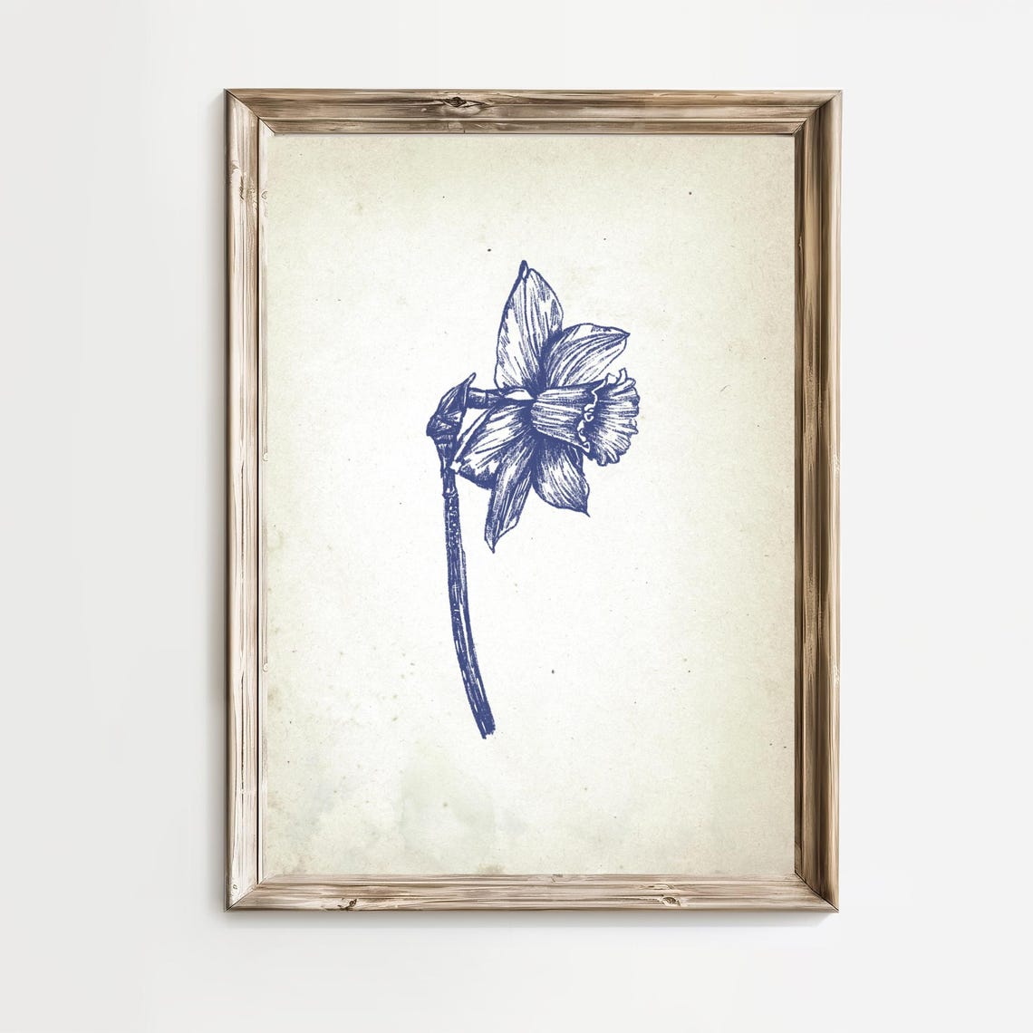 Side View Daffodil in Vintage Blue Botanical Ink Sketch Poster