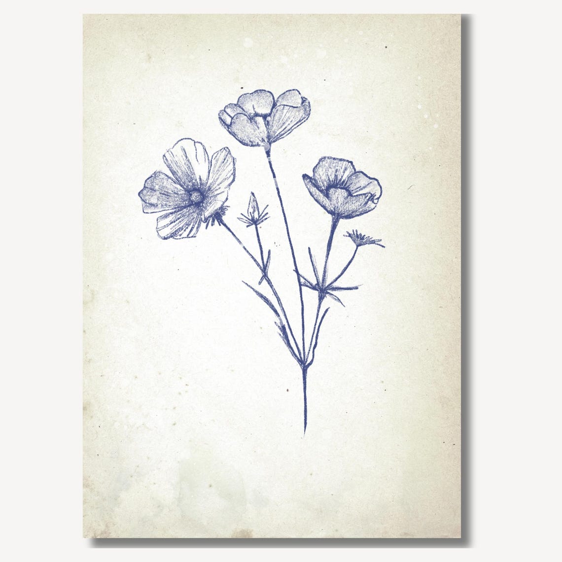 Blue Grey Wildflower Bloom Delicate Botanical Sketch Wall Art - Image 3
