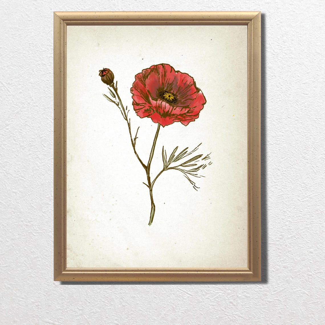 Red Poppy Flower Single Bloom Botanical Sketch Wall Art Piece