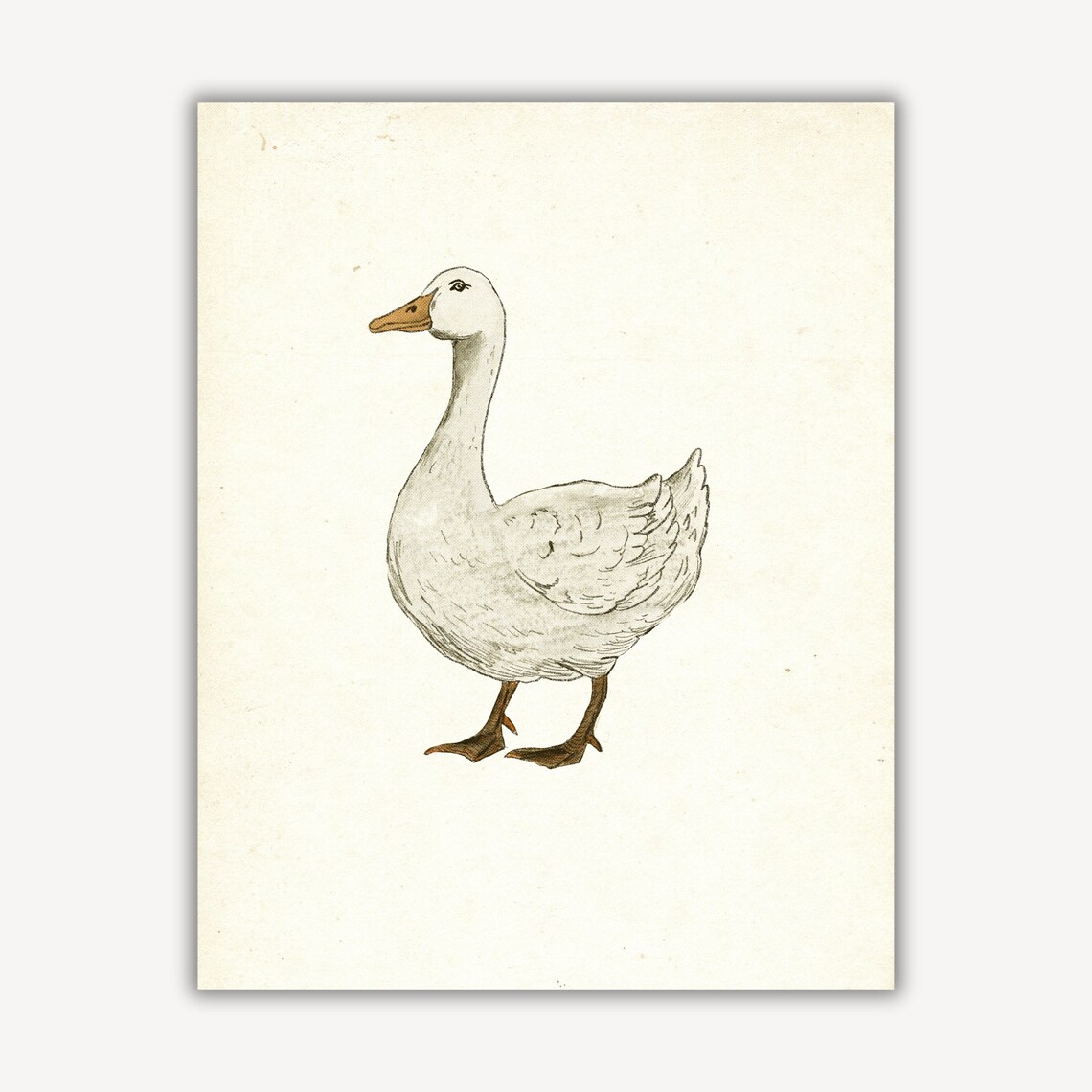 White Goose Rustic Country Sketch Neutral Farmhouse Art Print - Image 3