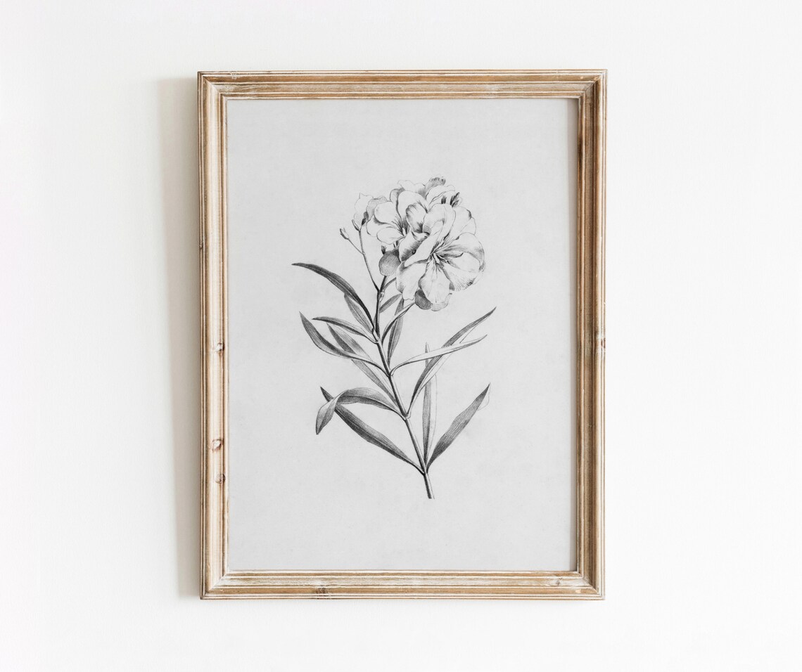 Floral Sketch Vintage Botanical Illustration Art Print