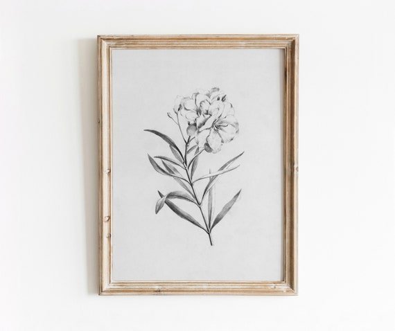Floral Sketch Vintage Botanical Illustration Art Print