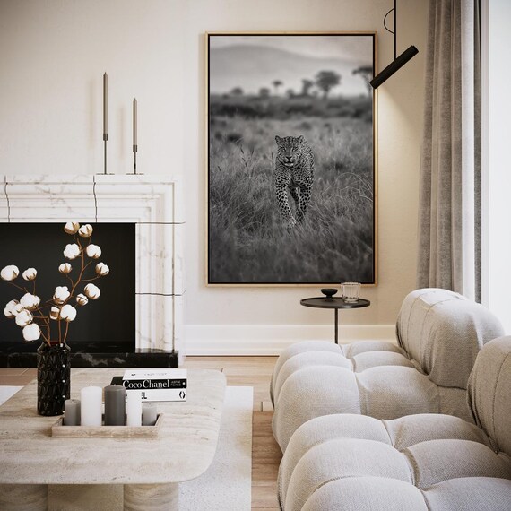 Leopard Walking Through Savanna Black And White Wildlife Photo Poster