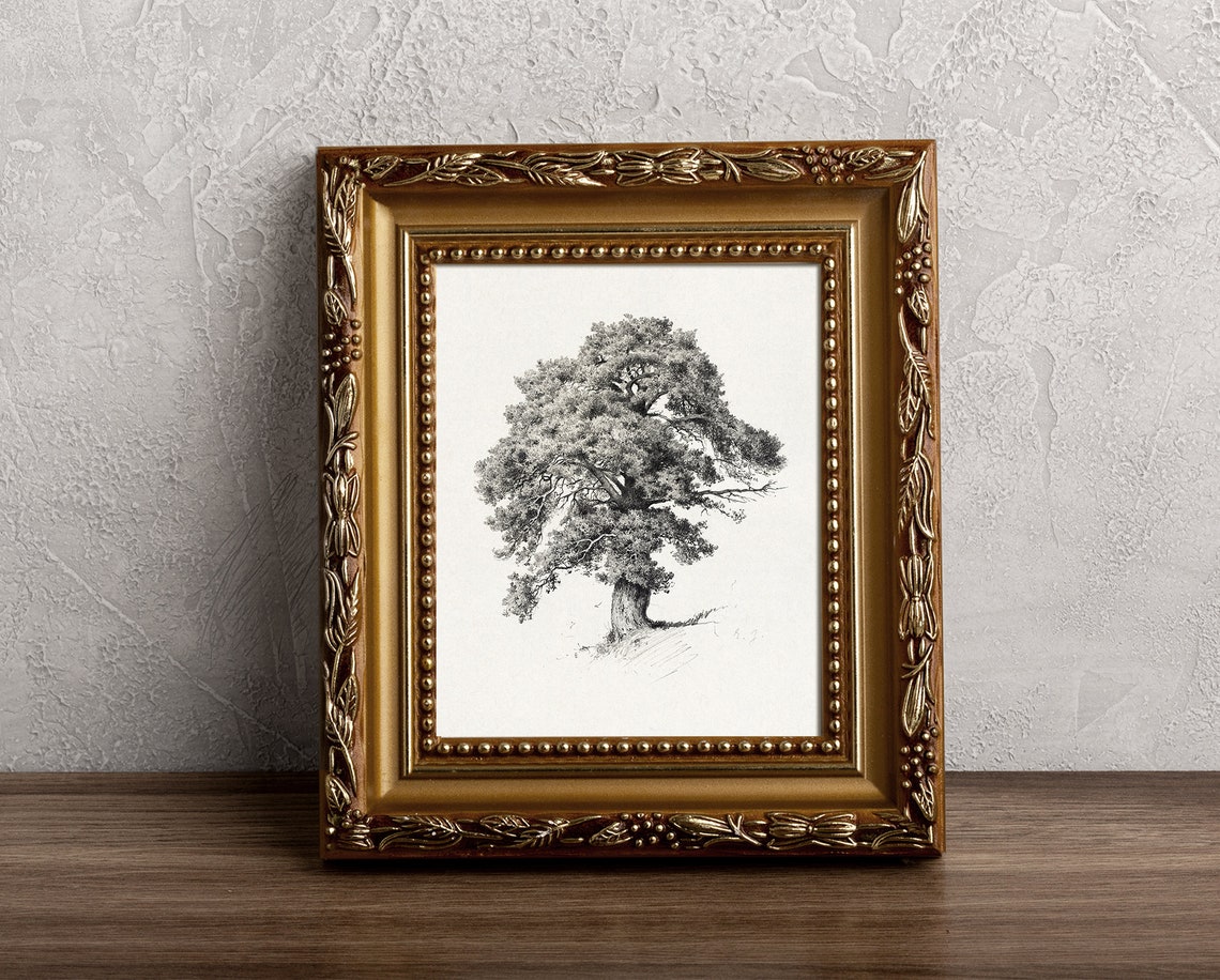 Vintage Tree Sketch Neutral Tree Drawing Vintage Tree Landscape Scenery Print Pencil Drawing - Image 4