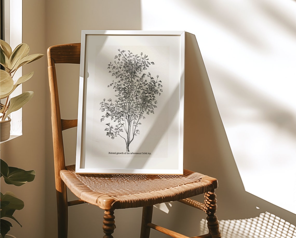 Vintage Botanical Irish Ivy Sketch Natural Growth Study Art Poster - Image 3