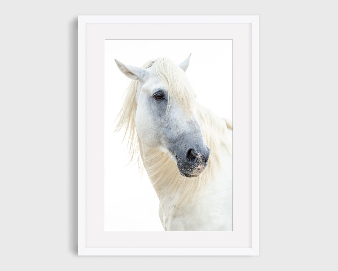 White Horse Photography, Camargue Horse Art Print