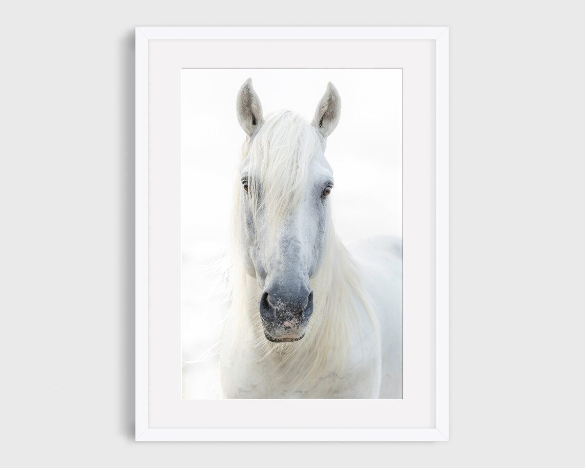 White Horse Photography, Camargue Horse Art Print