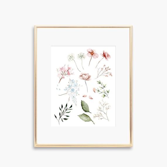 Loose Watercolor Wildflowers Mixed Blooms Botanical Study Art Poster
