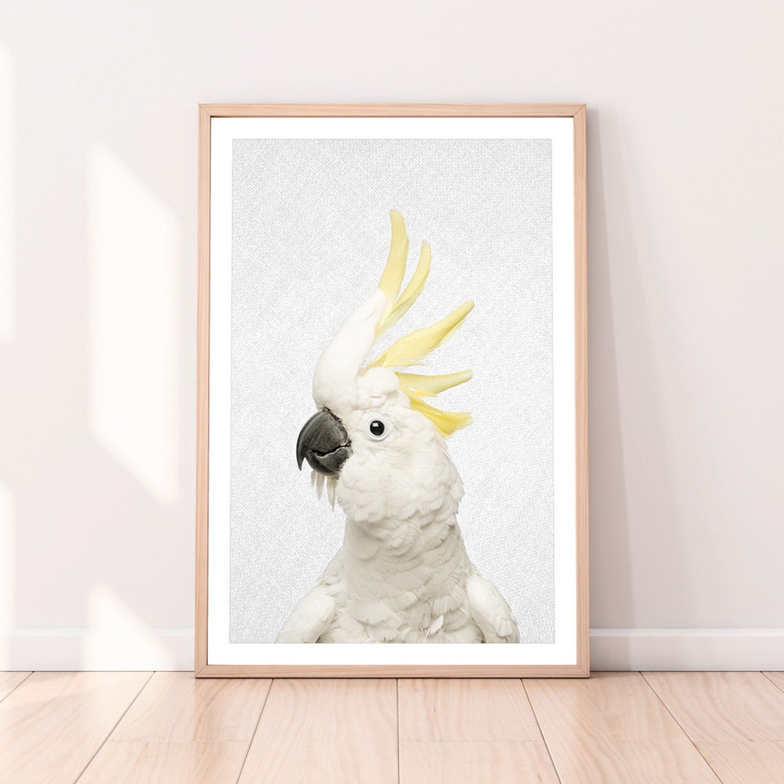 Sulphur Crested Cockatoo On Textured White Background Bird Poster