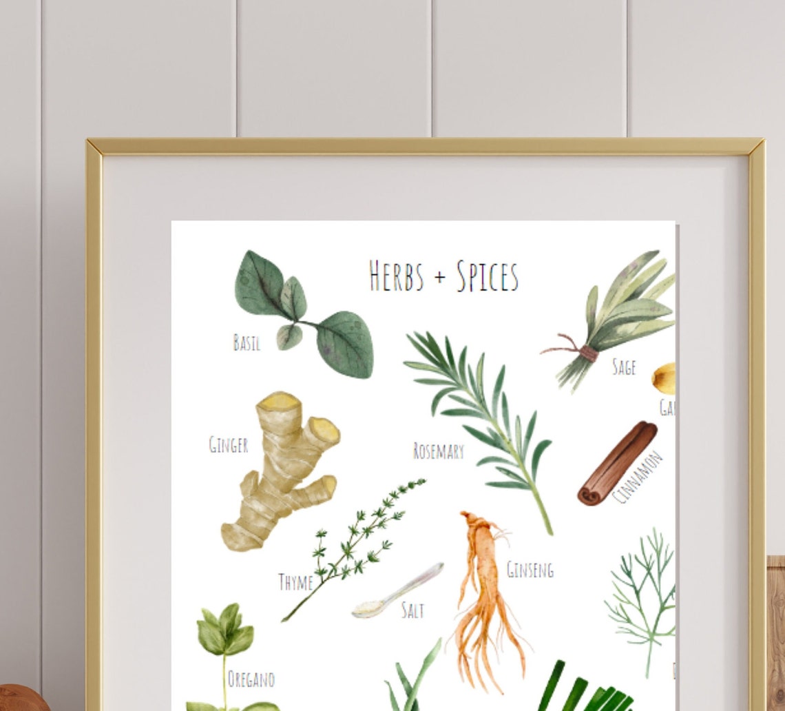 Watercolor Herbs and Spices Botanical Chart Kitchen Wall Decor Poster - Image 2
