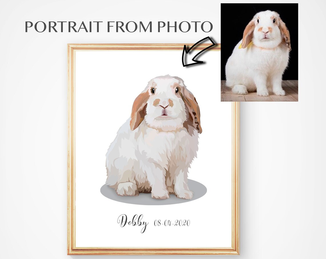 Dobby the White Lop Rabbit Portrait 08-04-2020 Custom Pet Poster