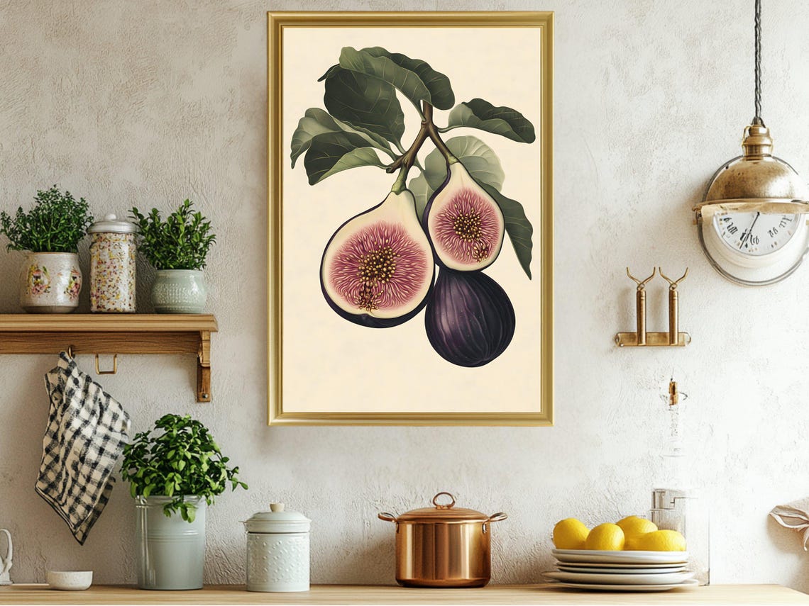 Fig Branch Botanical Illustration Vintage Fruit Kitchen Poster