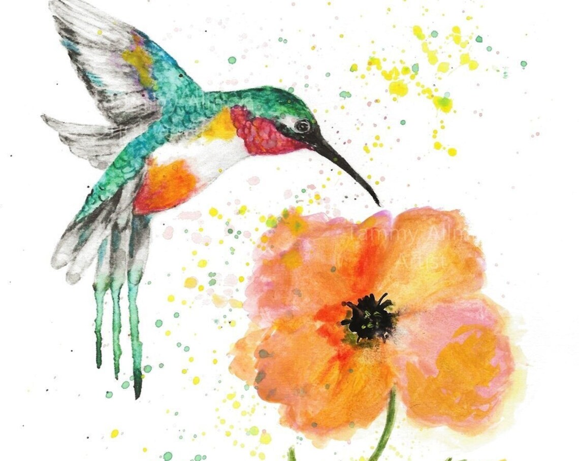 Hummingbird Hovering at Orange Poppy Watercolor Bird Art Poster