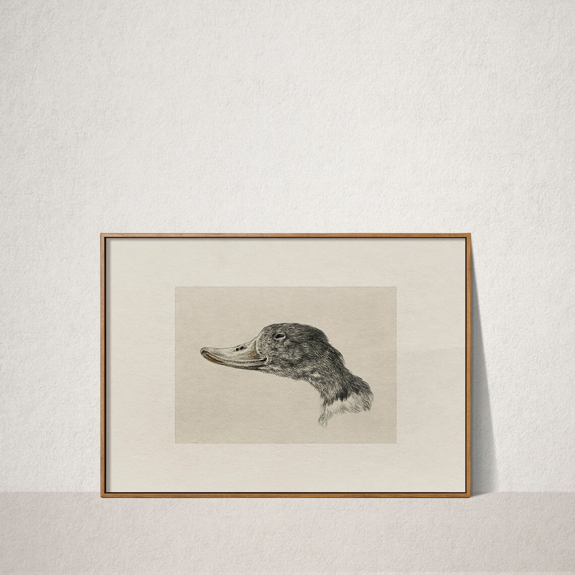 Vintage Duck Drawing Nursery Art Print, Farmhouse - Image 2