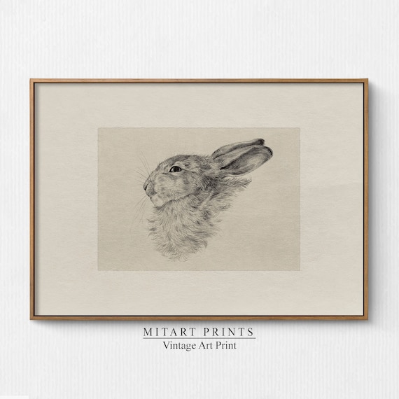 Vintage Rabbit Drawing Farmhouse Art Print