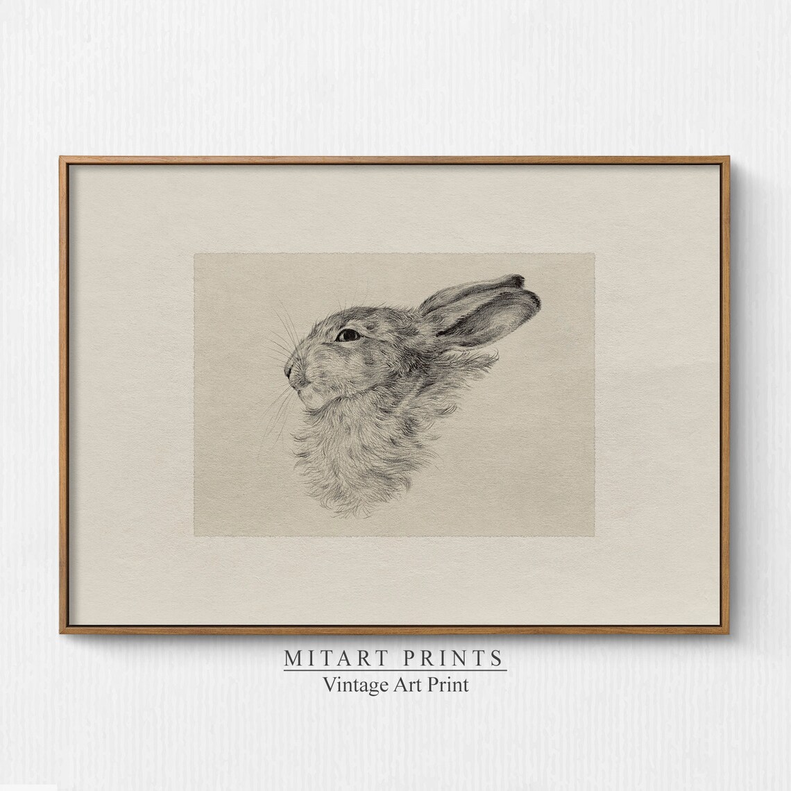 Vintage Rabbit Drawing Farmhouse Art Print