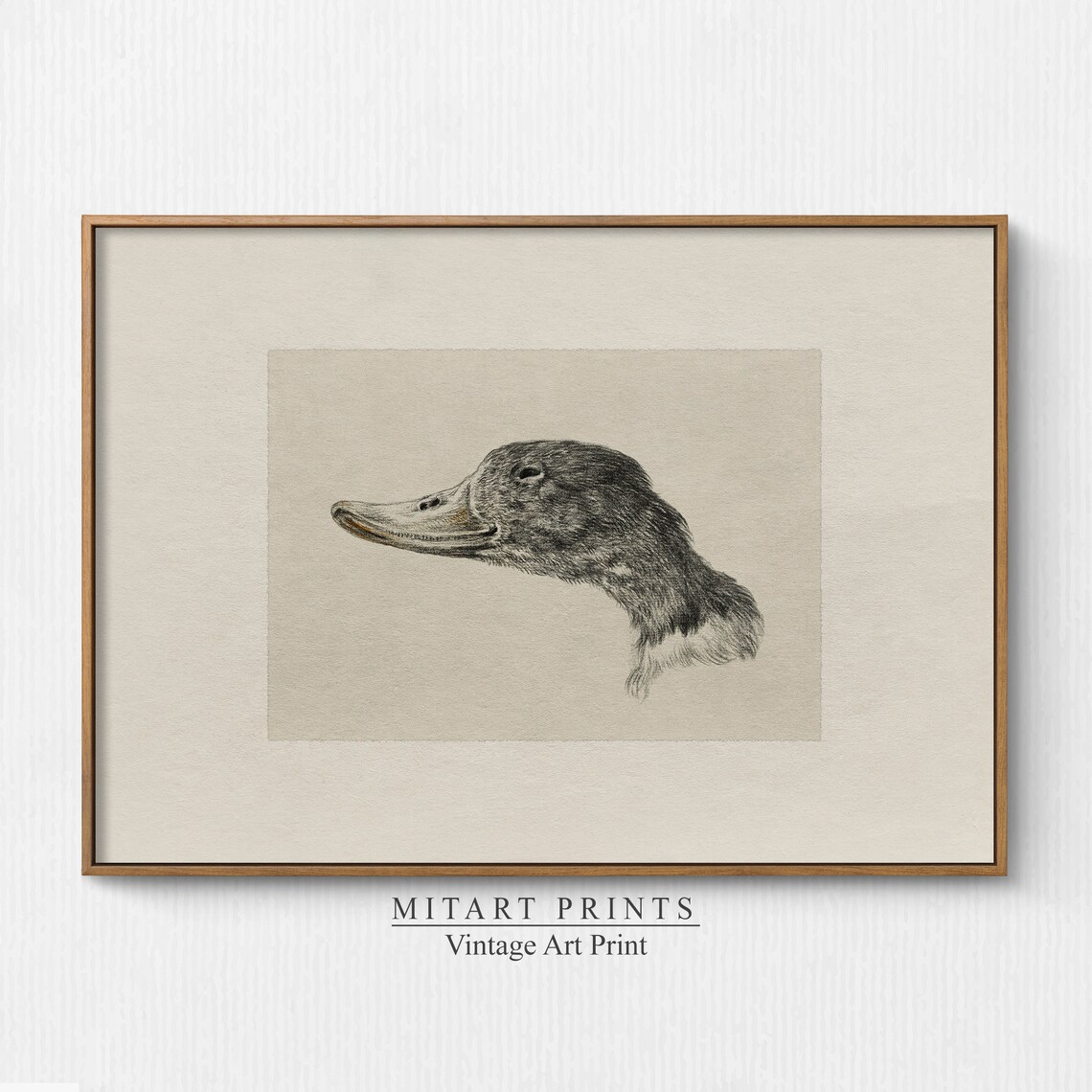 Vintage Duck Drawing Nursery Art Print, Farmhouse