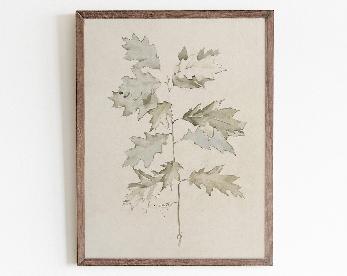 Vintage Botanical Nature Art Print, Antique Farmhouse