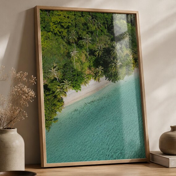 Aerial Tropical Beach Palm Trees Turquoise Ocean Photo Poster