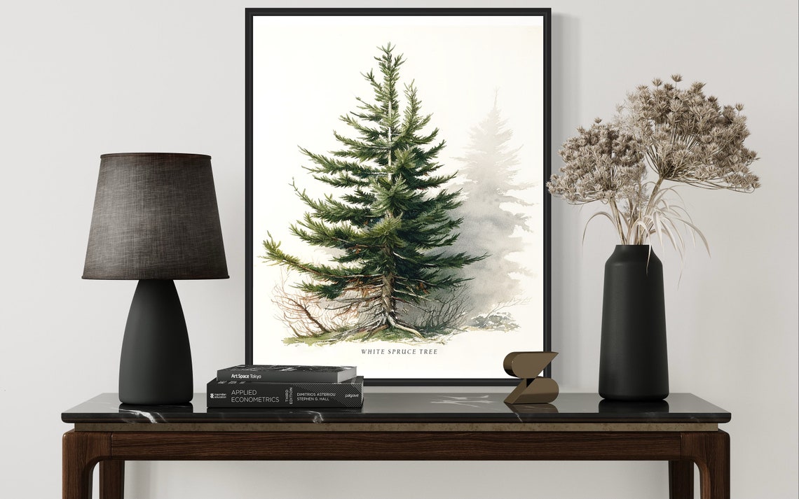 White Spruce Tree Art Print White Spruce Tree Wall Art Poster - Image 3