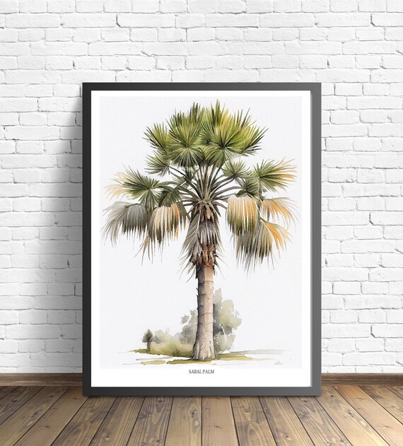 Sabal Palm Tree Art Print Sabal Palm Tree Wall Art Poster