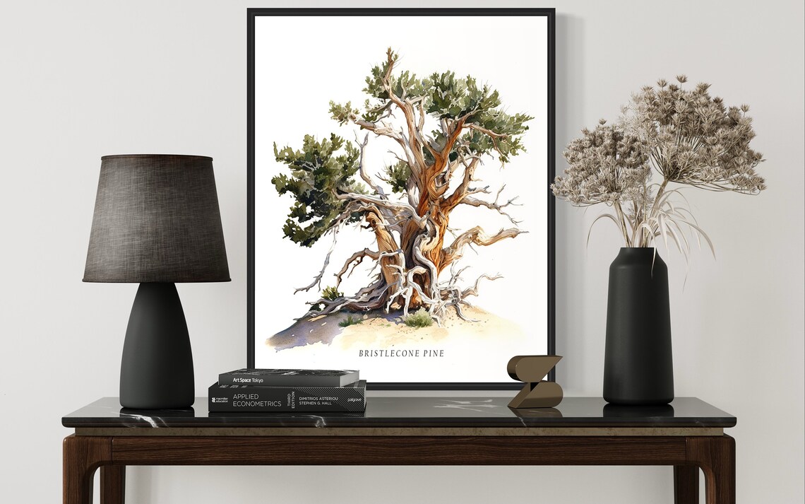 Bristlecone Pine Tree Art Print, Nature Landscape - Image 2