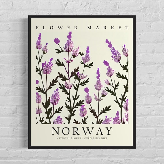 Norway National Flower Purple Heather Art Print