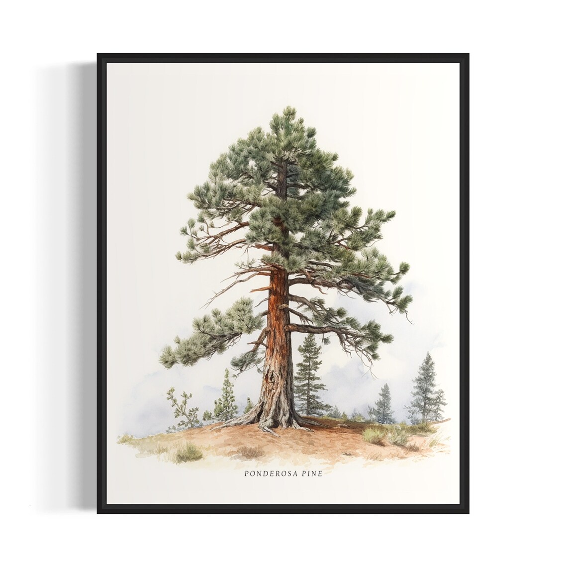 Ponderosa Pine Tree Art Print, Nature Wall Decor