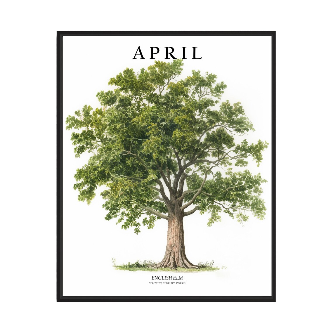 April English Elm Tree of the Month Watercolor Botanical Poster