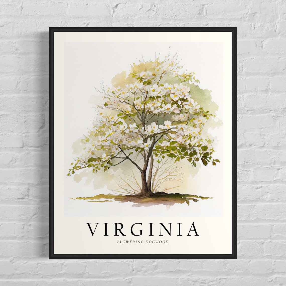Virginia Flowering Dogwood State Tree Art Print