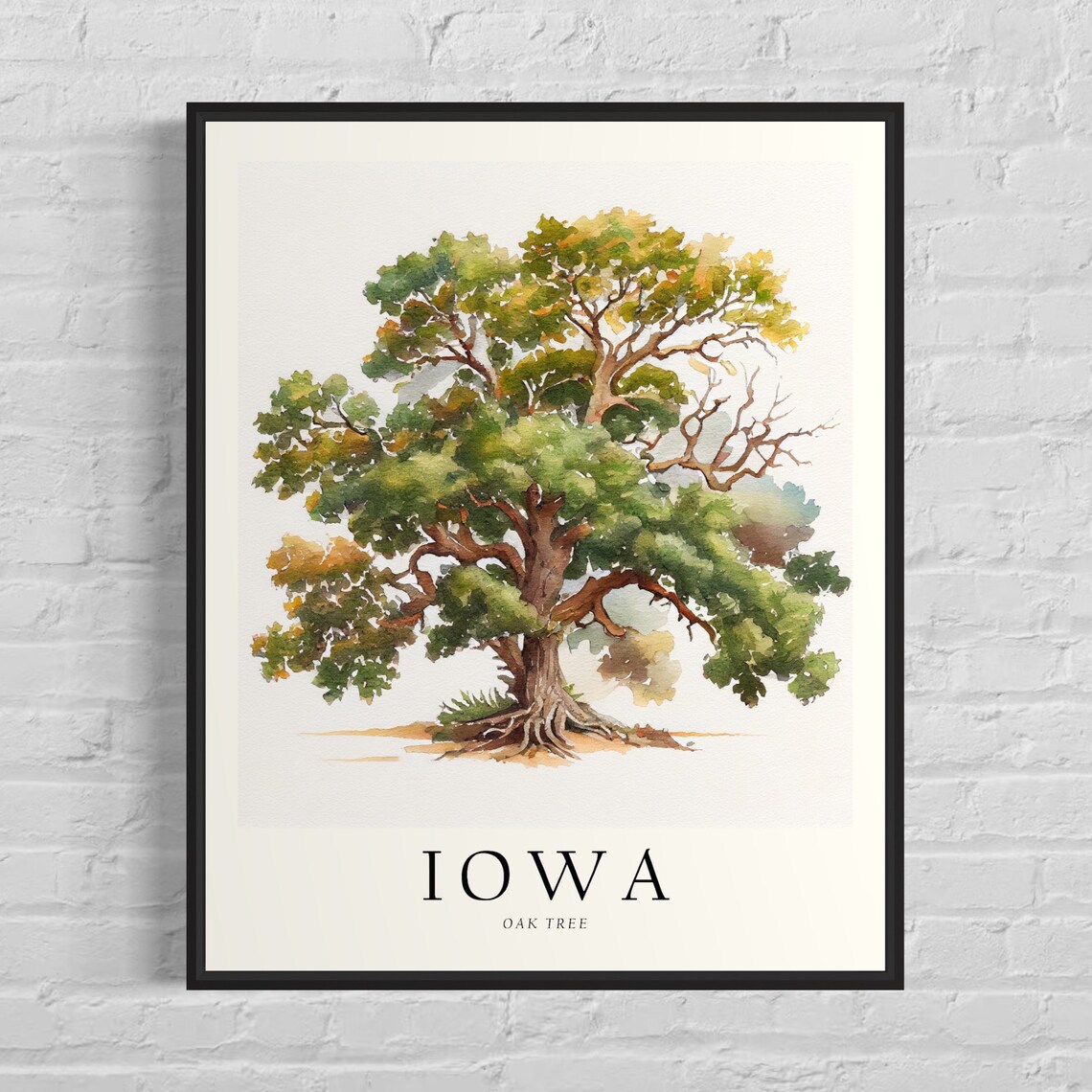 Iowa State Tree Oak Tree Symbol Art Print