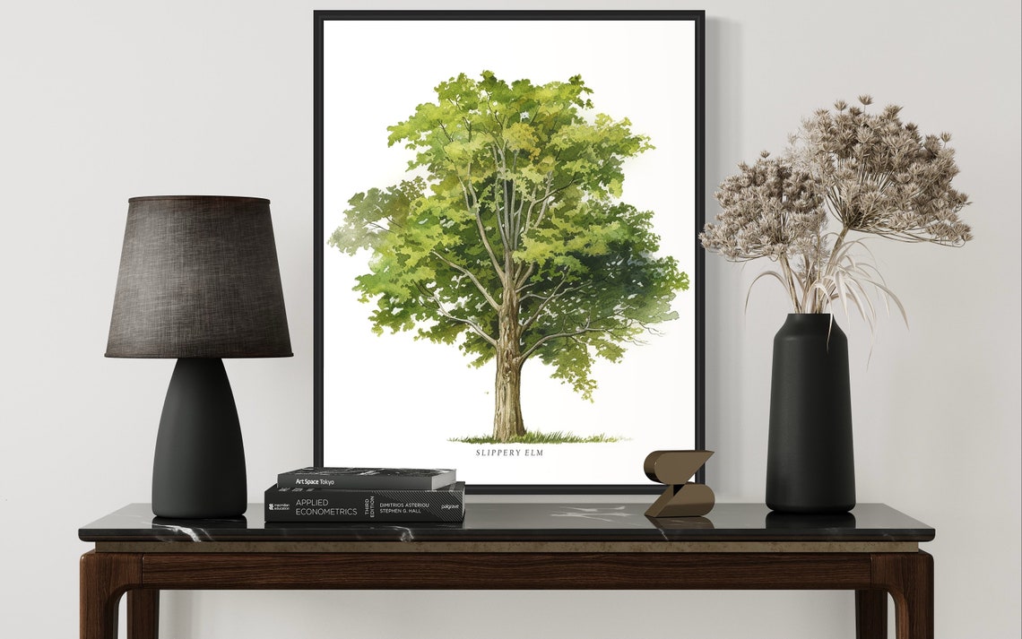 Slippery Elm Tree Art Print Slippery Elm Tree Wall Art Poster - Image 3