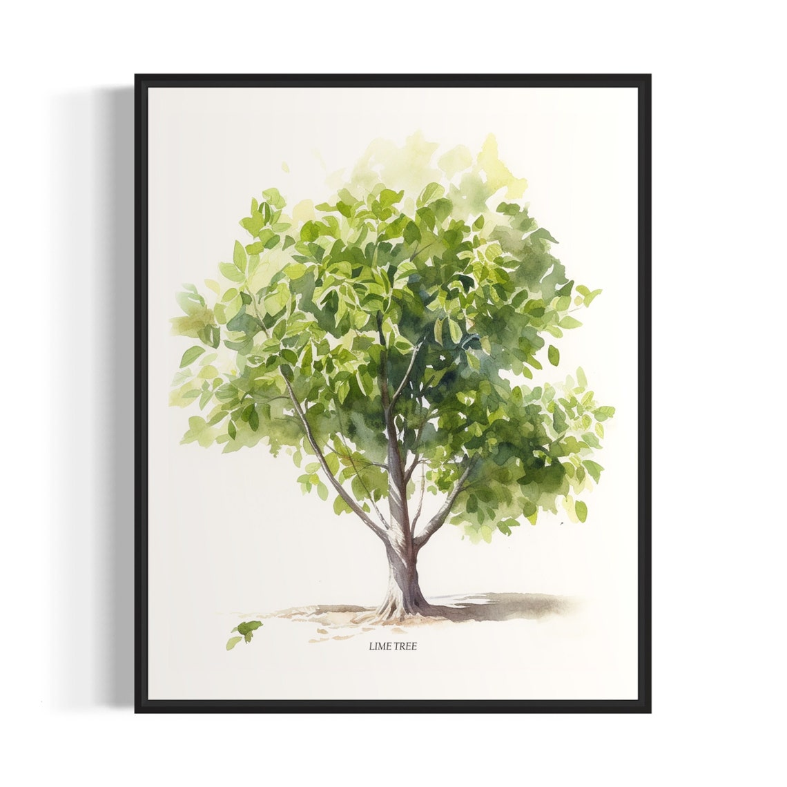 Lime Tree Art Print Lime Tree Wall Art Poster